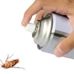 طرق القضاء على الصراصير في المنزل