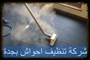 شركة تنظيف احواش بجدة