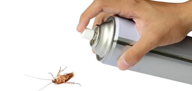طرق القضاء على الصراصير في المنزل