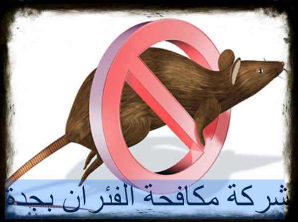 شركة مكافحة الفئران بجدة
