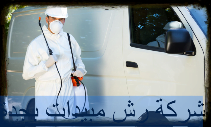 شركة رش مبيدات بجدة