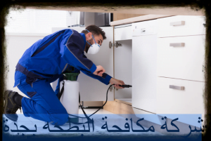 شركة مكافحة البطحه بجدة