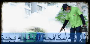 شركة مكافحة البطحه بجدة