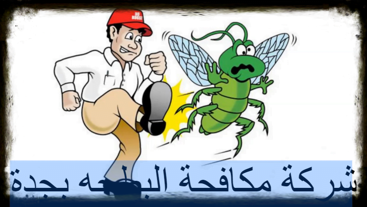 شركة مكافحة البطحه بجدة
