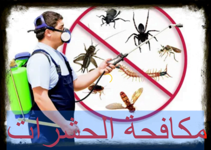 مكافحة الحشرات